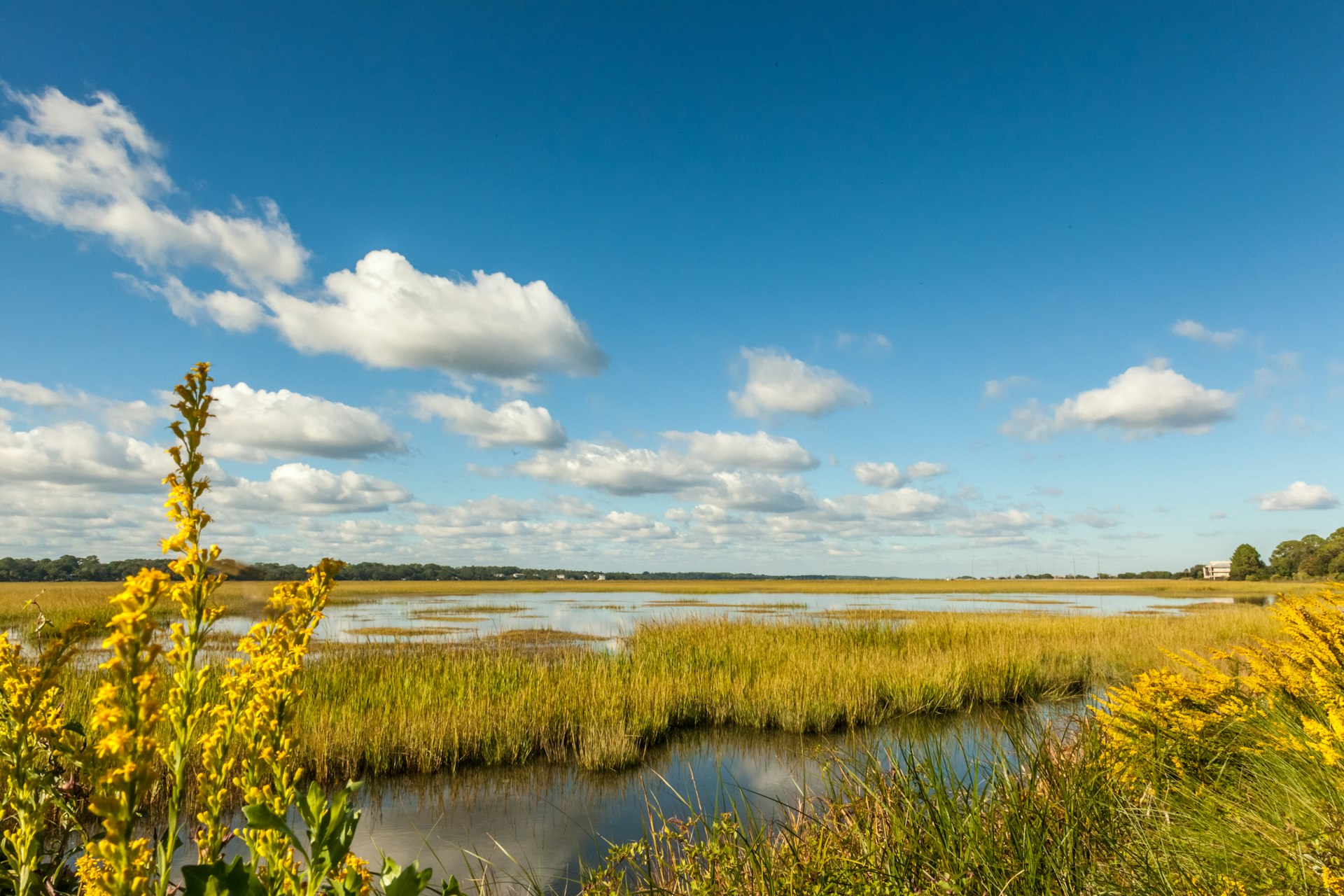 Coastal Georgia contains one third of the Atlantic Coast's saltwater marshes © BeachcottagePhotography / Getty Images