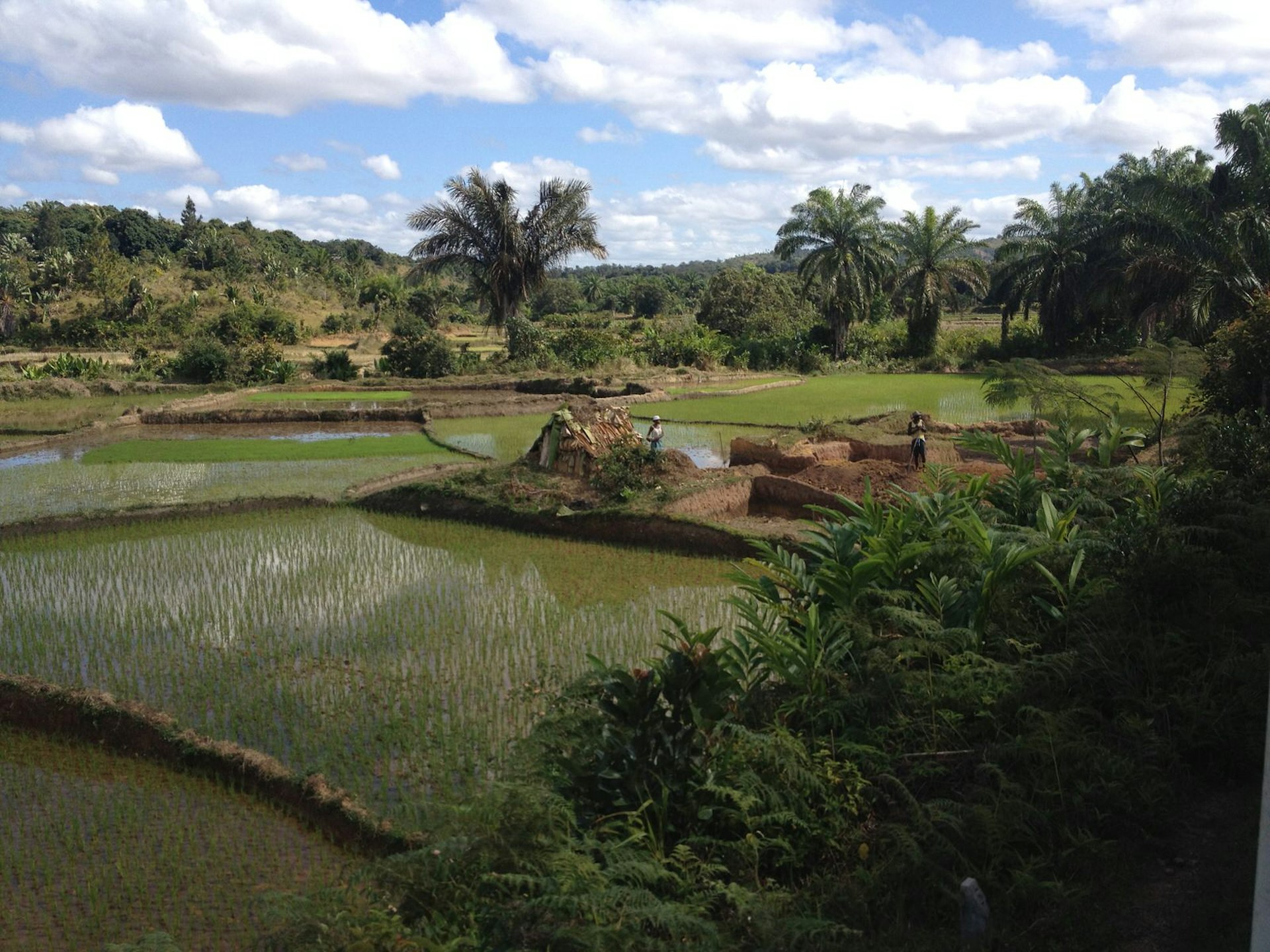 The FCE line runs through steep mountainsides dotted with forest, waterfalls, terraced rice paddies and fruit plantations © Emilie Filou / Lonely Planet