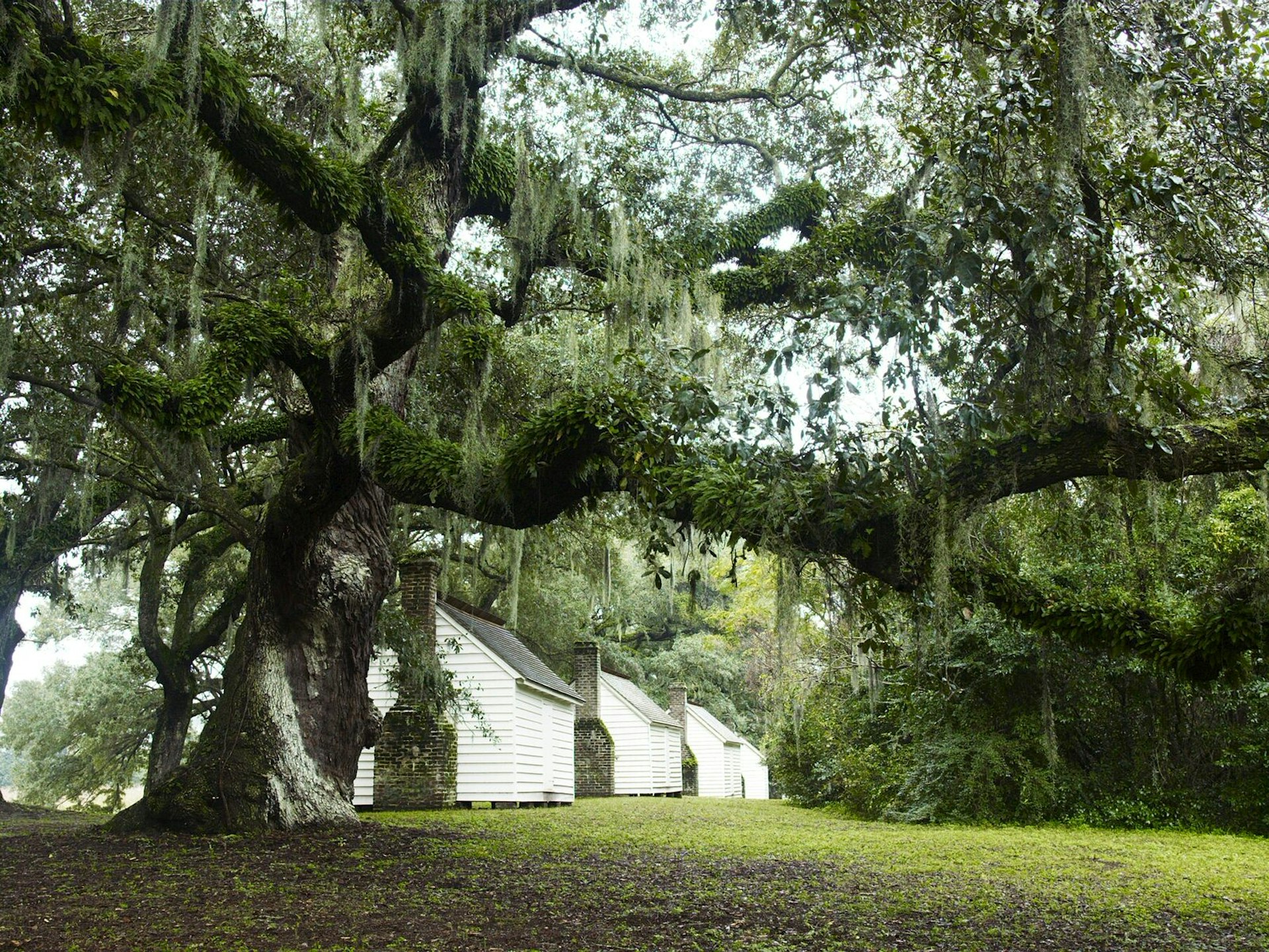 Clayboard slave cabins at the Mcleod Plantation © Andrew Montgomery / Lonely Planet