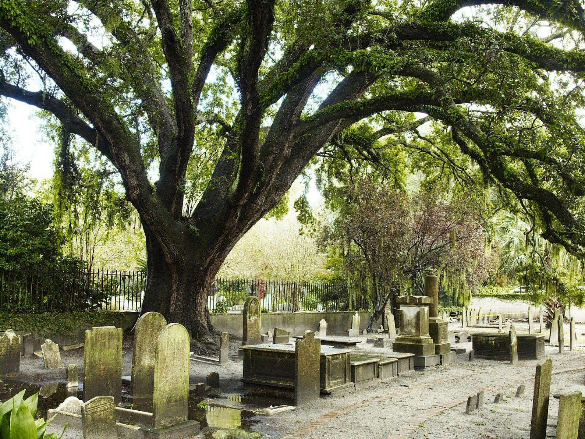 An ancient graveyard in downtown Charleston © Andrew Montgomery / Lonely Planet