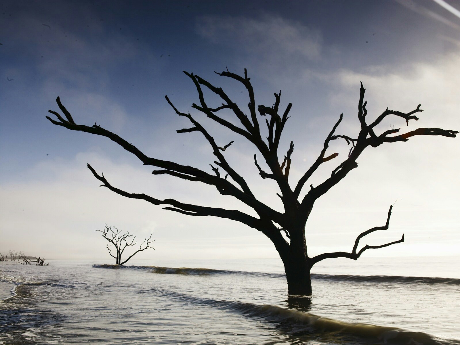 Botany Bay on Edisto Island © Andrew Montgomery / Lonely Planet