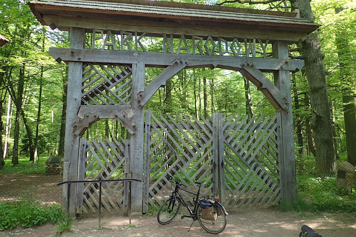 Exploring The First Forest Bialowieza National Park Lonely Planet