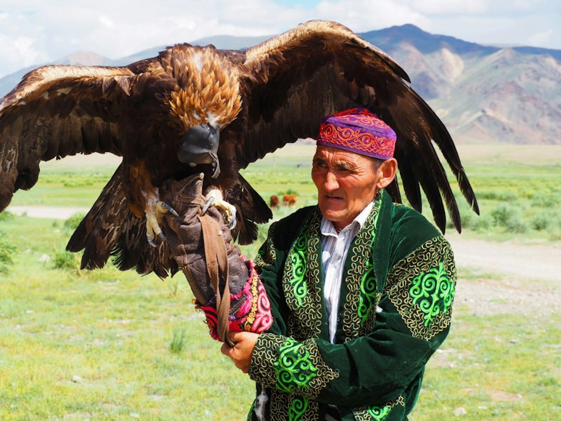 Eagle hunting is still an important custom in the Kazakh communities of western Mongolia © Olivia Pozzan / Lonely Planet