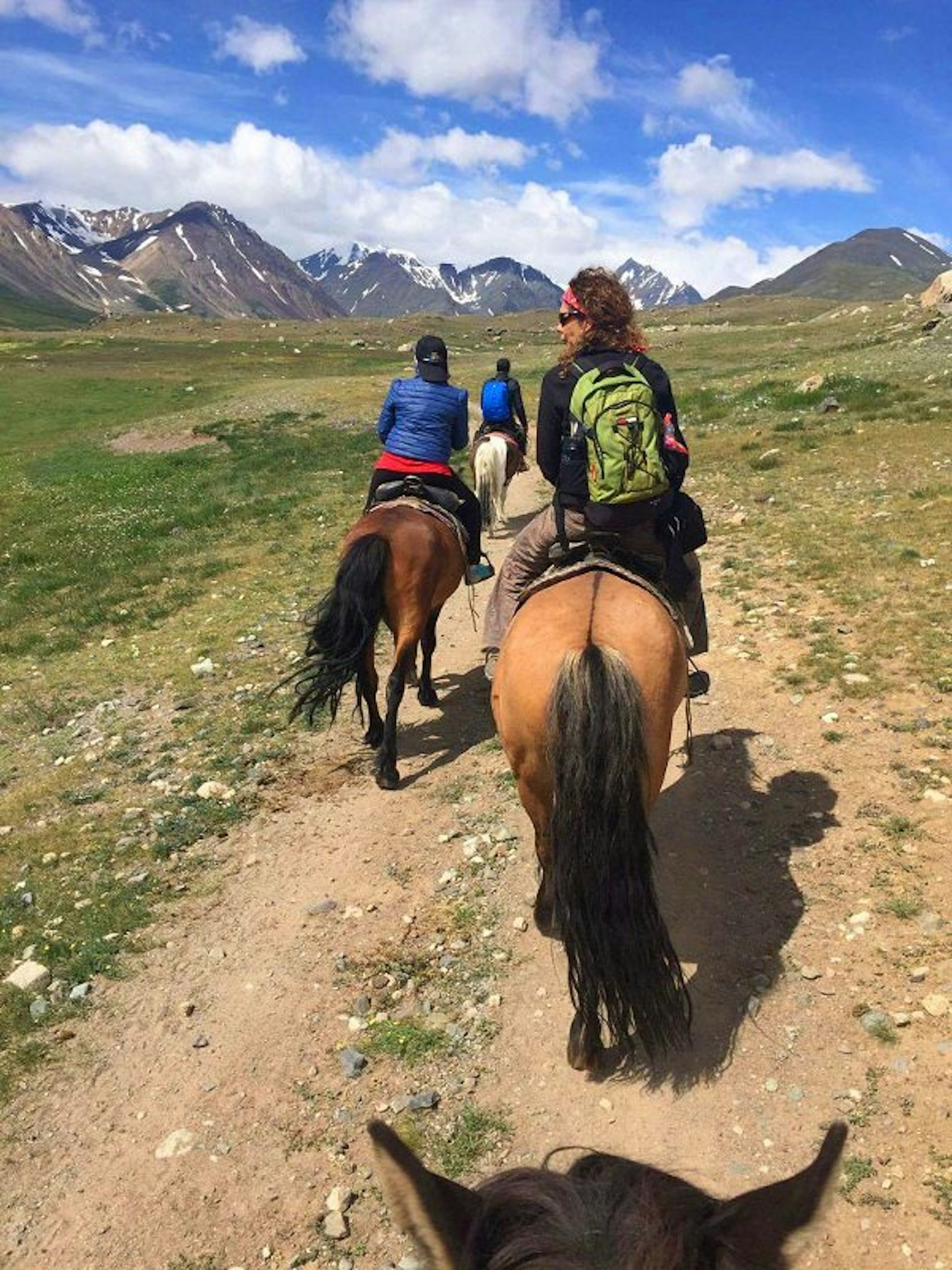 Trekking Tavan Bogd on horseback © Olivia Pozzan / Lonely Planet