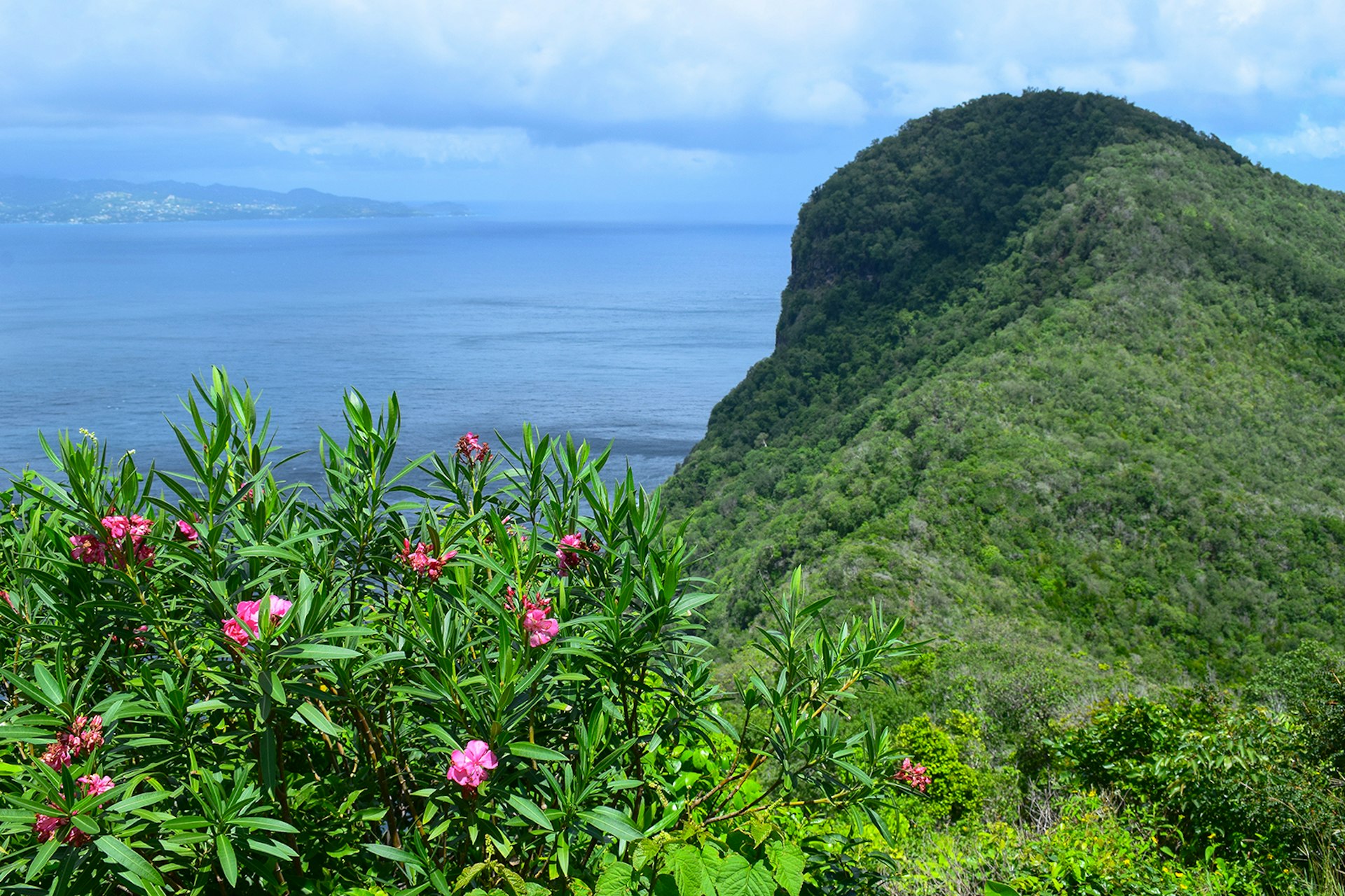 Bequia's mountainous interior makes for good hiking © Georgina Wilson-Powell / Lonely Planet