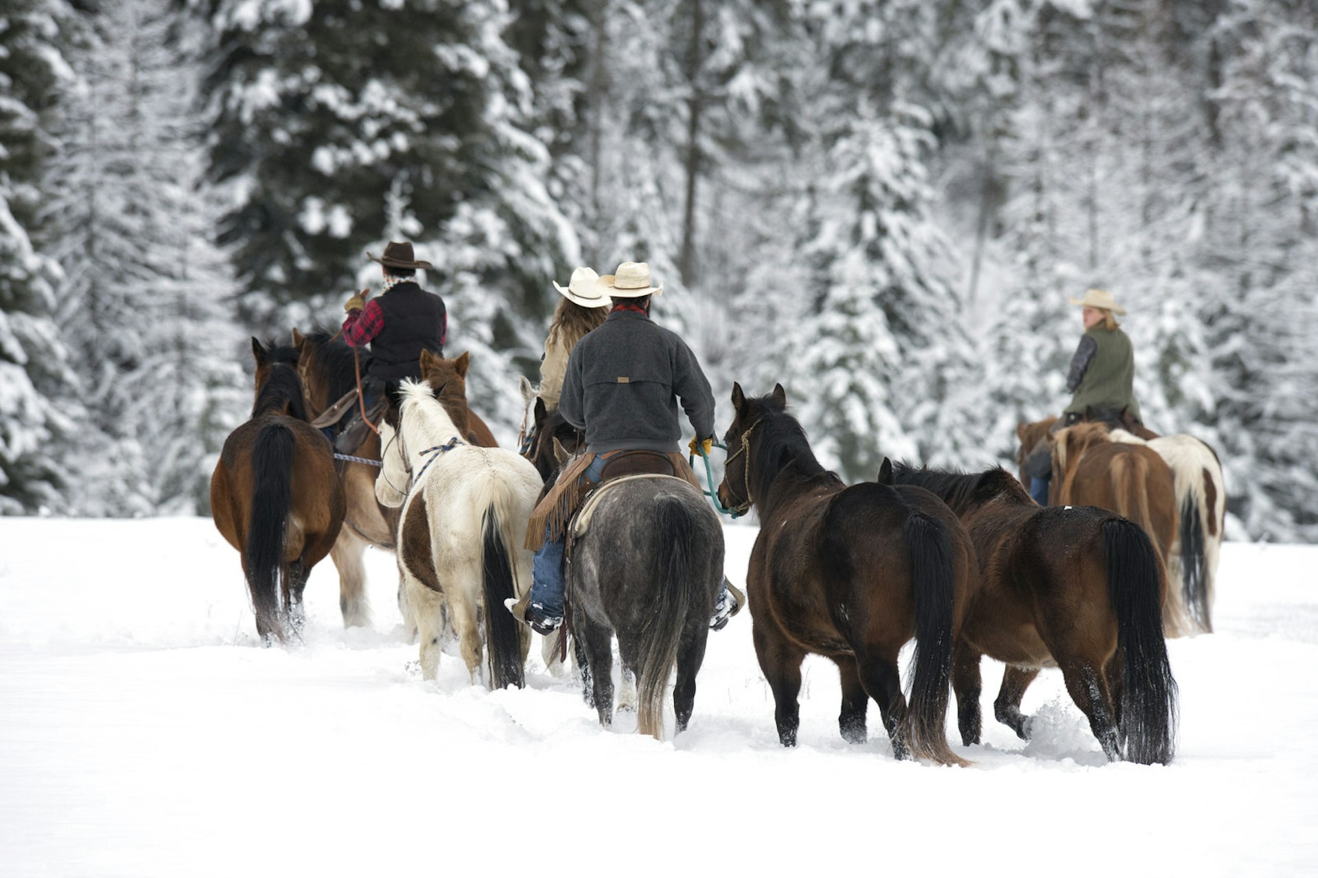 Practice your Wild West skills at a Montana ranch © Kathleen Reeder Wildlife Photography / Moment / Getty