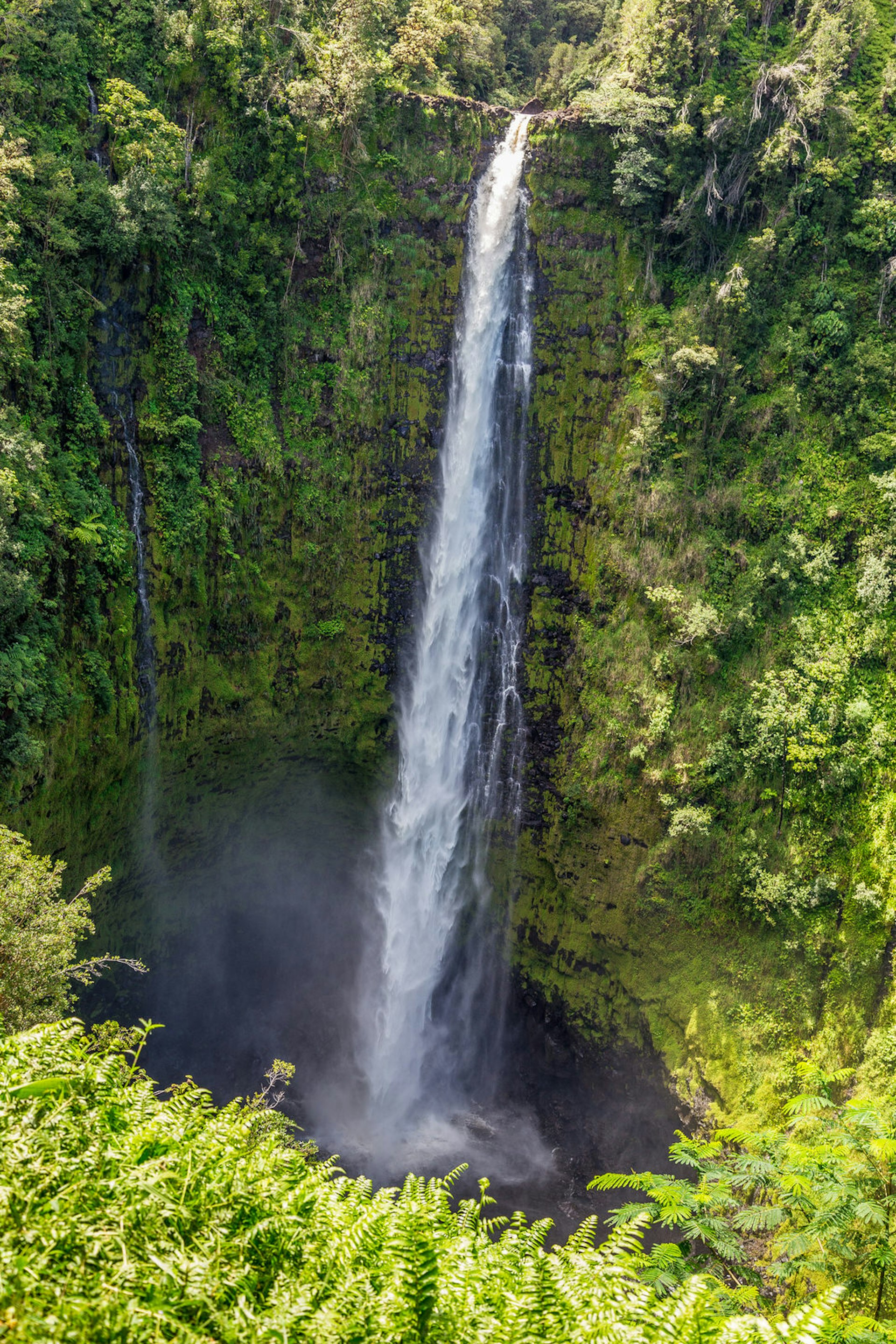 Due to consistent rainfall on the east side of the island, Akaka Falls is always surging © Alexander Howard / Lonely Planet
