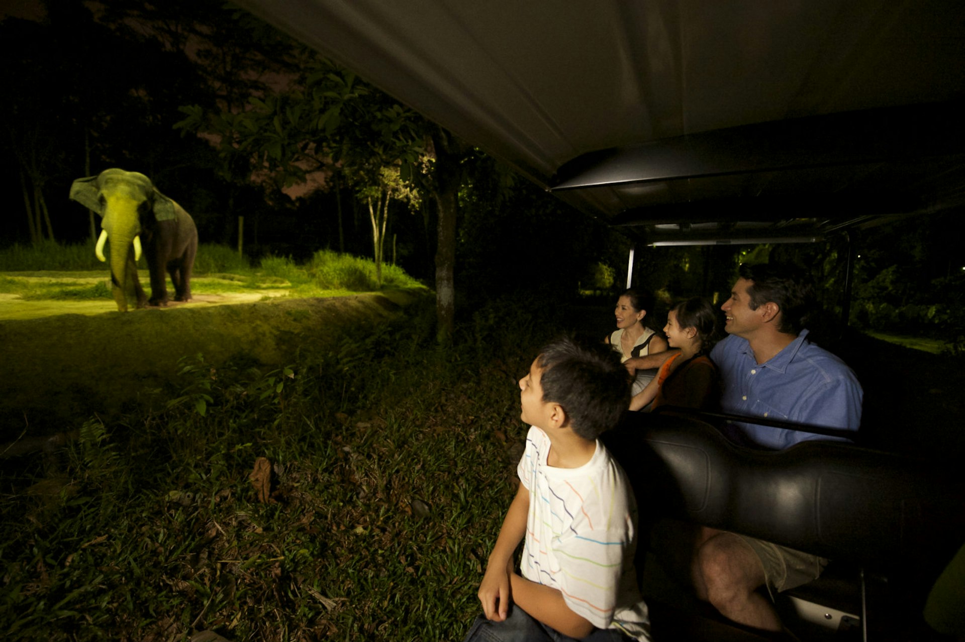 Elephant spotting on the Night Safari in Singapore © Singapore Tourism Board