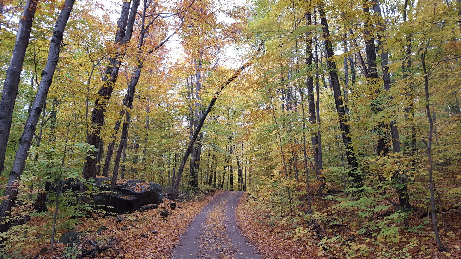 Winding country roads near the Adirondacks let you get lost in the changing fall colors © Ray Bartlett / Lonely Planet