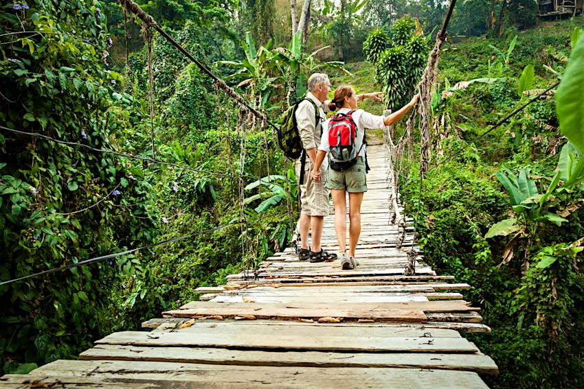 Couple in jungle A couple stand on a wooden footbridge leading through a verdant rainforest.