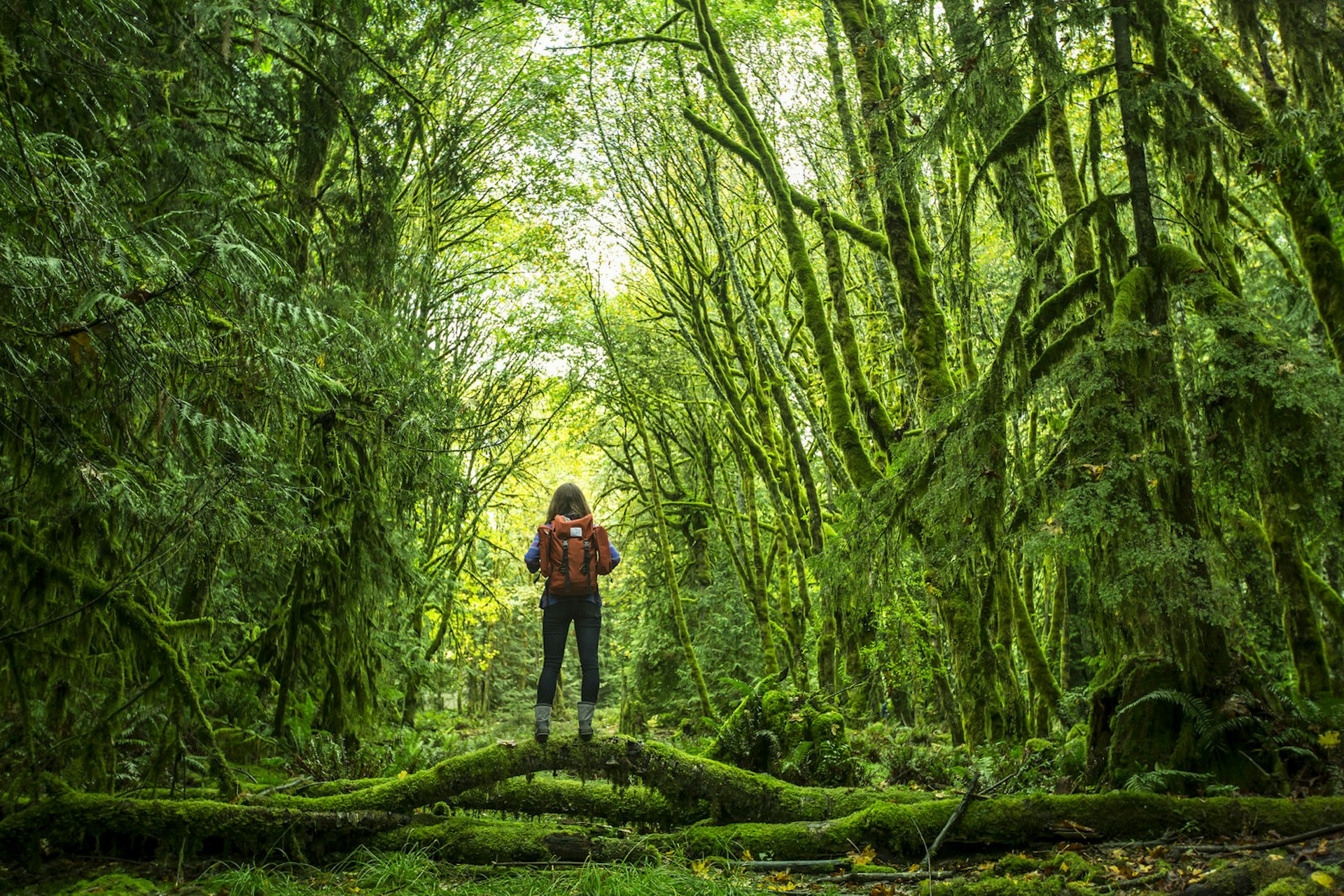 A woman wearing a bright red backpack stands on top of a fallen tree branch in the middle of a verdant green forest