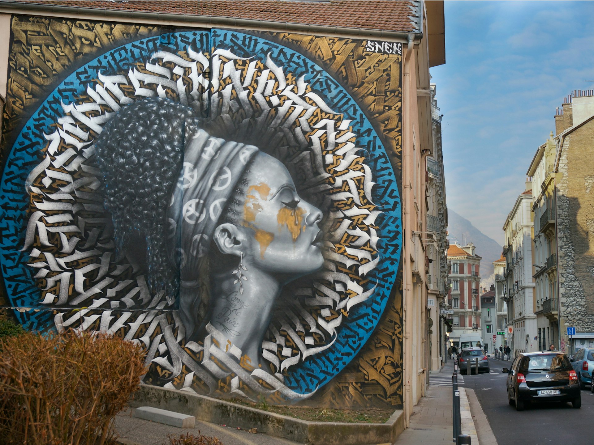 Street Art Fest Grenoble has left its mark across the city © Monica Suma / Lonely Planet