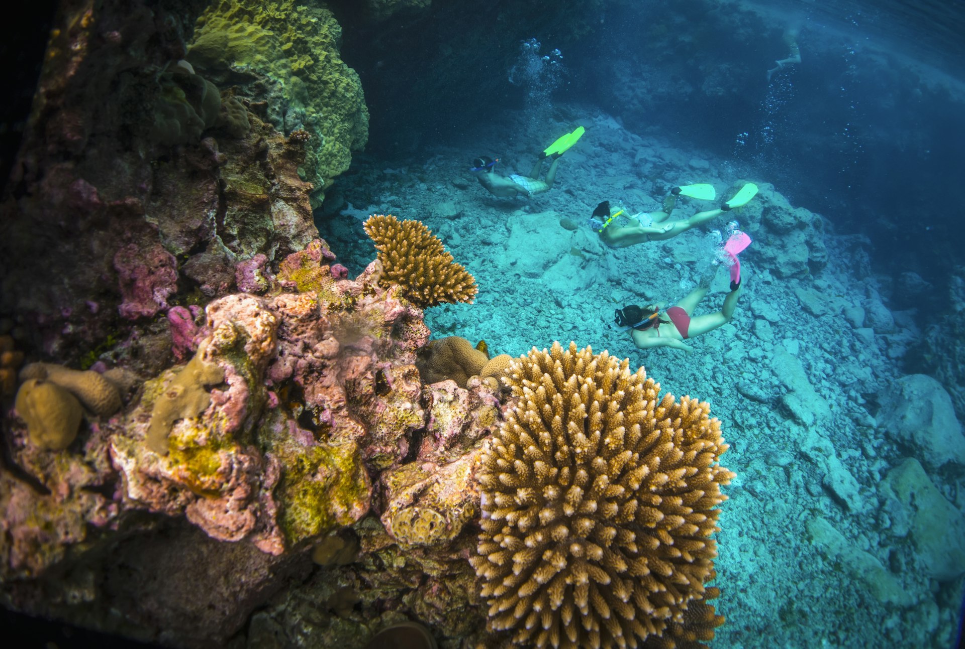 Snorkelling and fishing are both available close to shore © David Kirkland / Getty