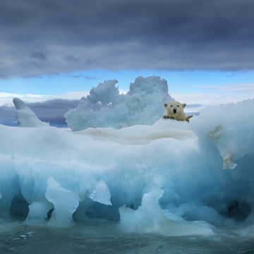 Features - Polar Bear, Repulse Bay, Nunavut, Canada