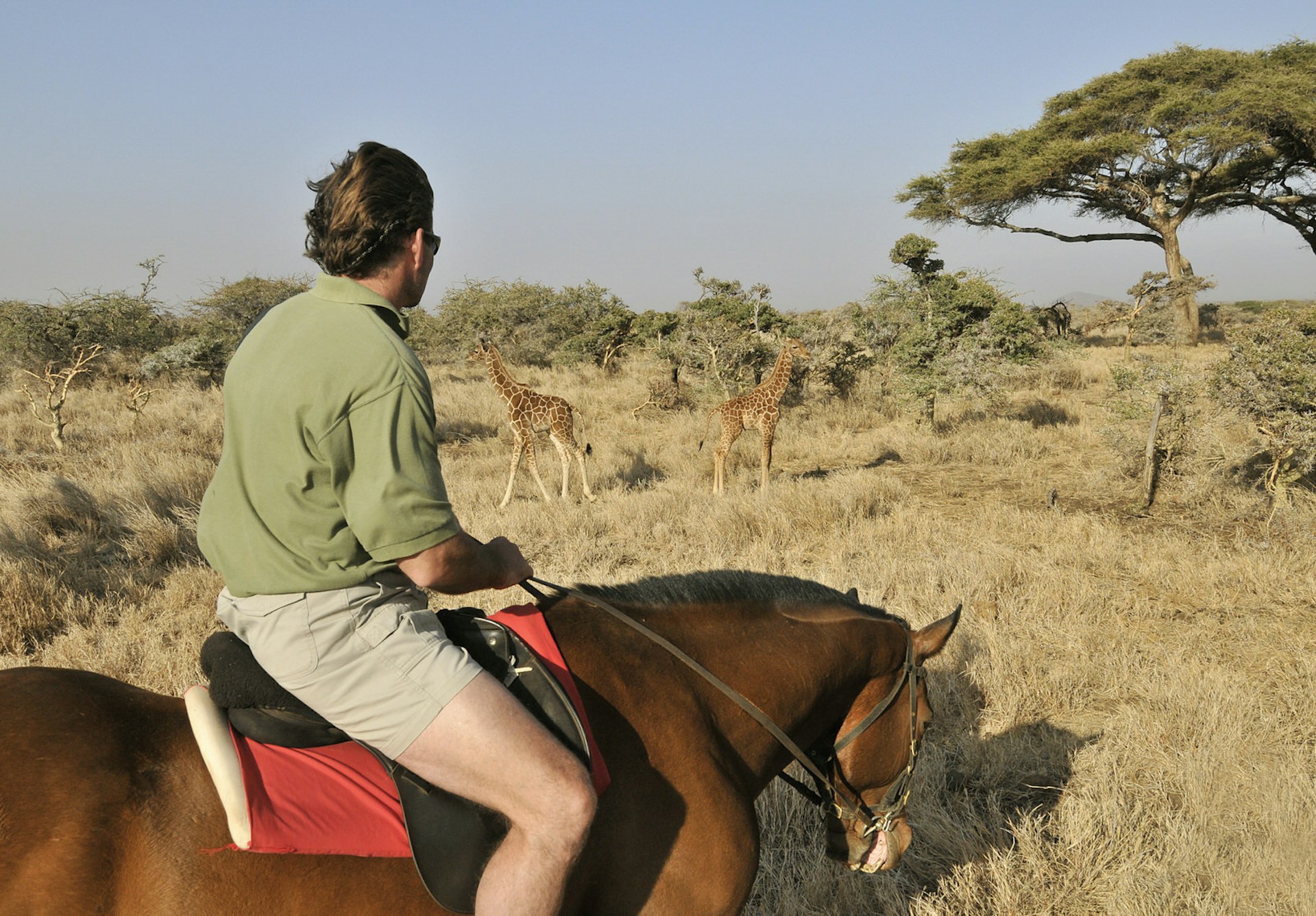 A horseback safari offers a refreshing alternative to the usual 4x4s © Chris Minihane / Getty Images