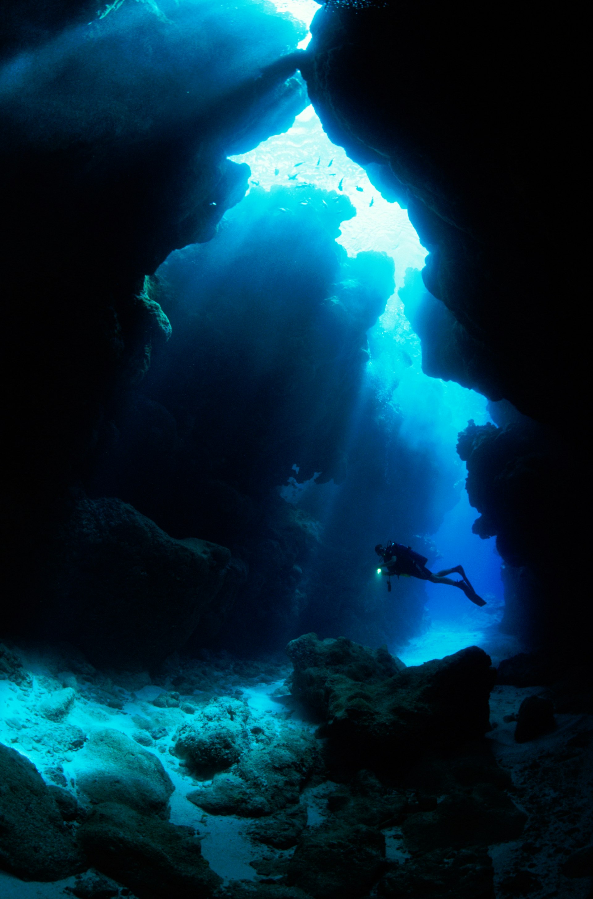 Scuba divers can explore underwater caves around the island © Darryl Torckler / Getty