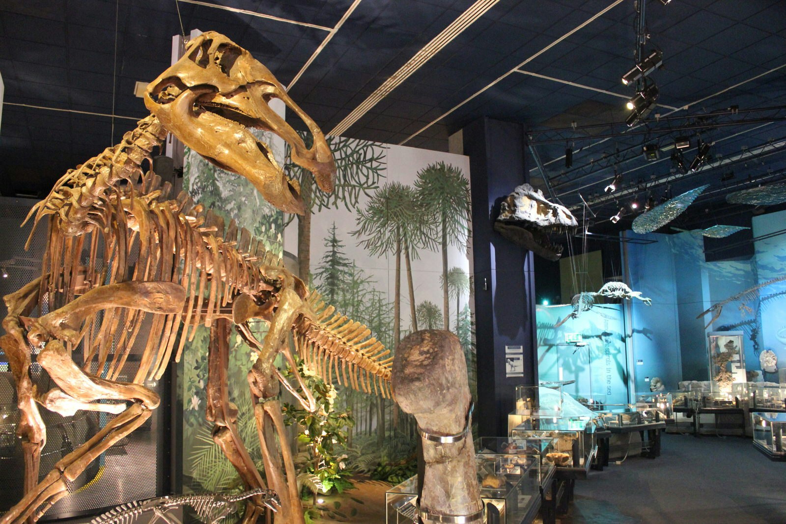 Dinosaur display at the National Museum of Cardiff, Wales