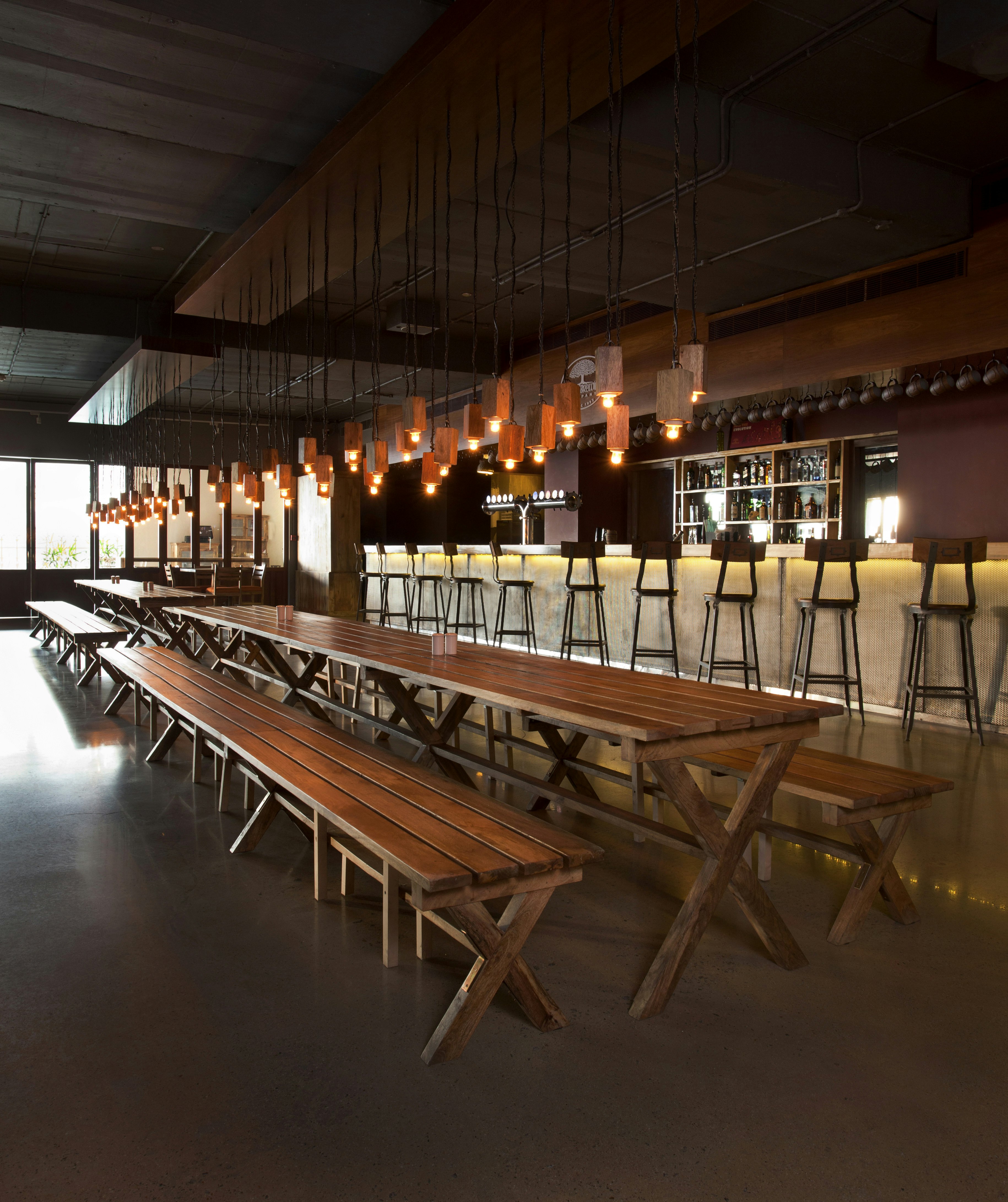 Long tables under the lights at Arbour Brewing Company