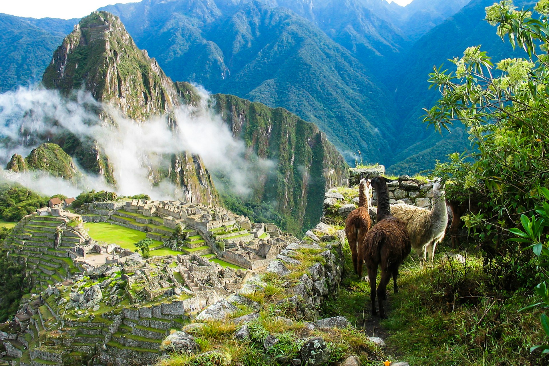 Features - Machu-Picchu-931c451a7eff