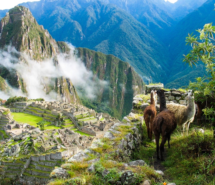 Features - Machu-Picchu-931c451a7eff