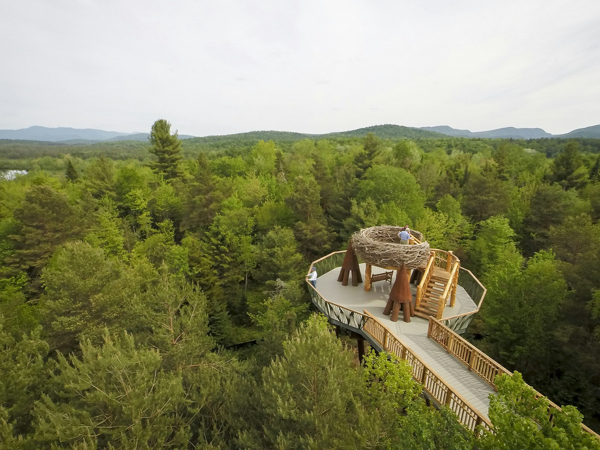 The 'Wild Walk' offers a different perspective of the Adirondacks © The Wild Center