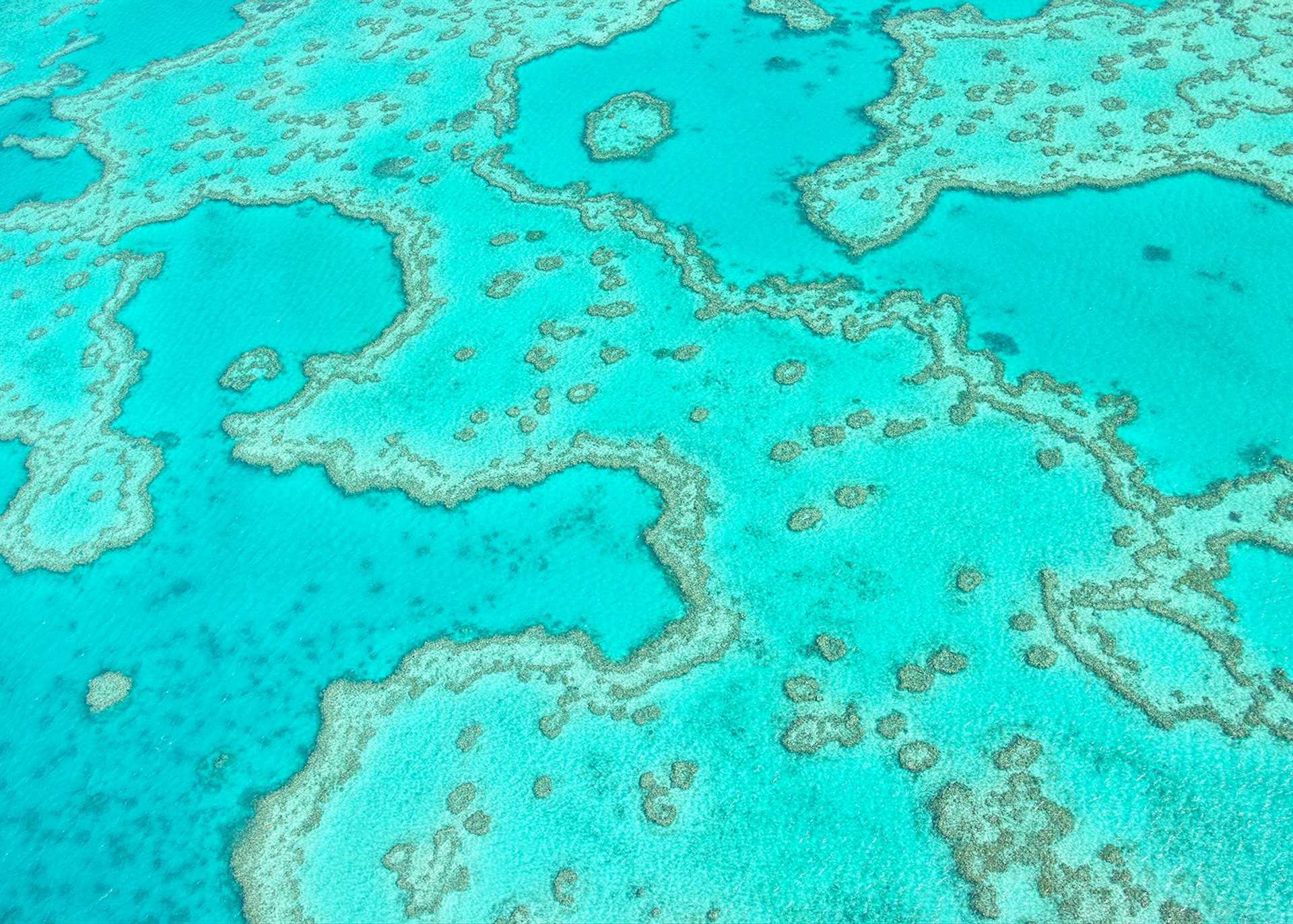 Aerial view of Australia's Great Barrier Reef © atiger / Shutterstock