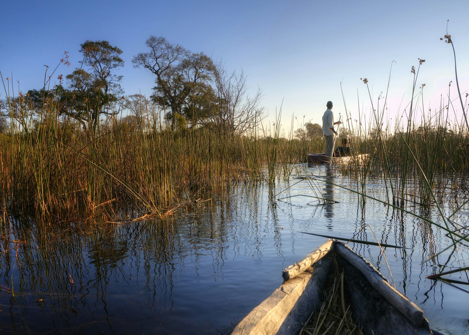 A boat trip in the Okavango Delta, Botswana © PlusONE / Shutterstock
