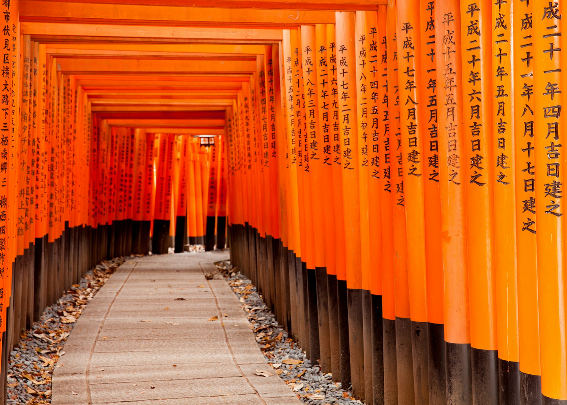 Fushimi Inari Taisha Shrine in Kyoto, Japan © Pigprox / Shutterstock
