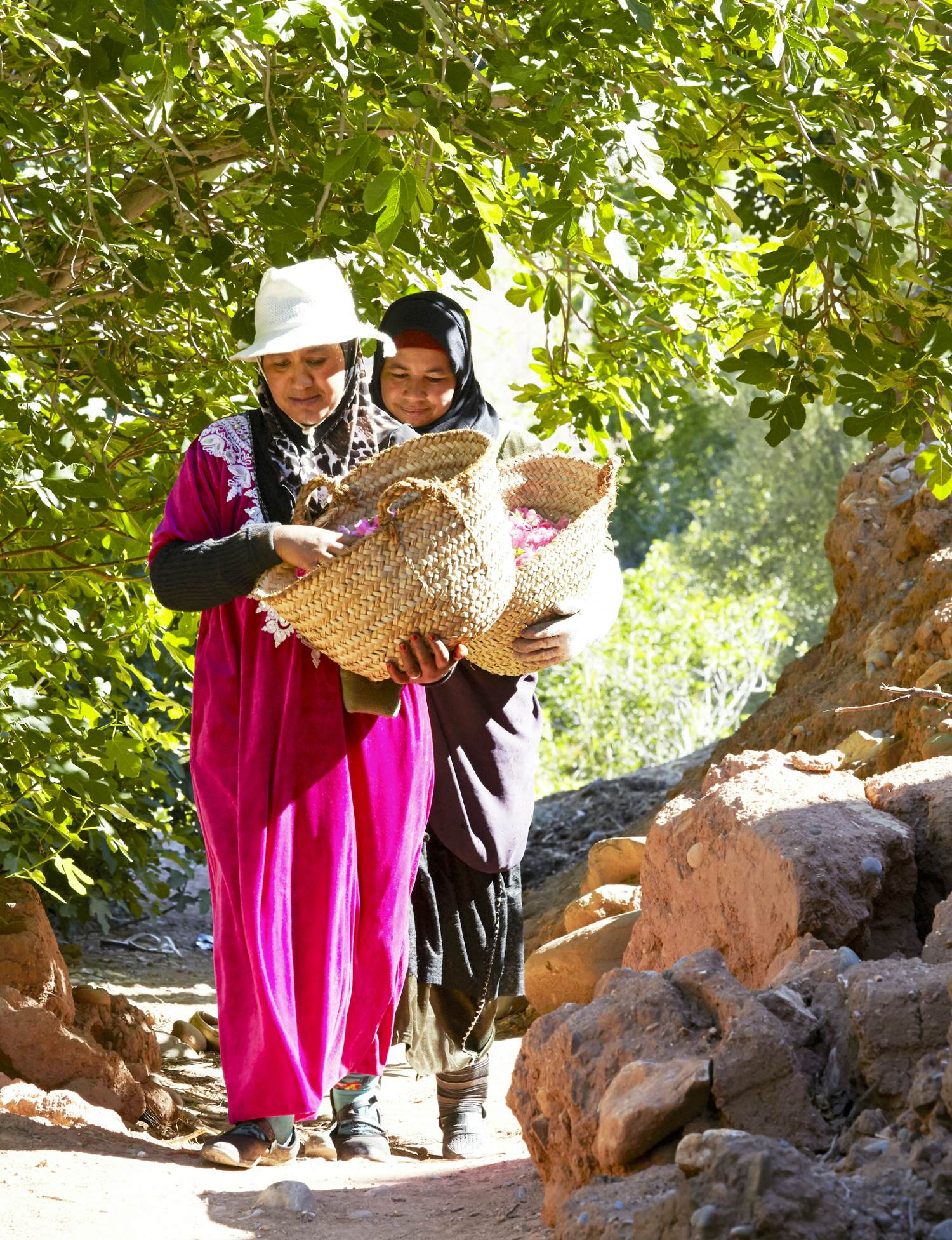 Valley Of The Roses: Discover Morocco’s Floral Festival – Lonely Planet ...