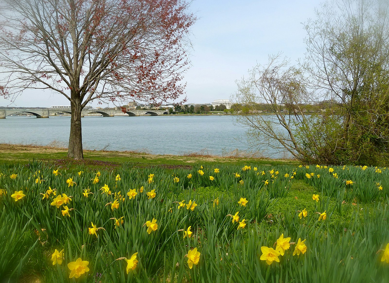 Spring flowers, budding trees and green grass frame some of DC's most iconic sights during a drive along the George Washington Parkway