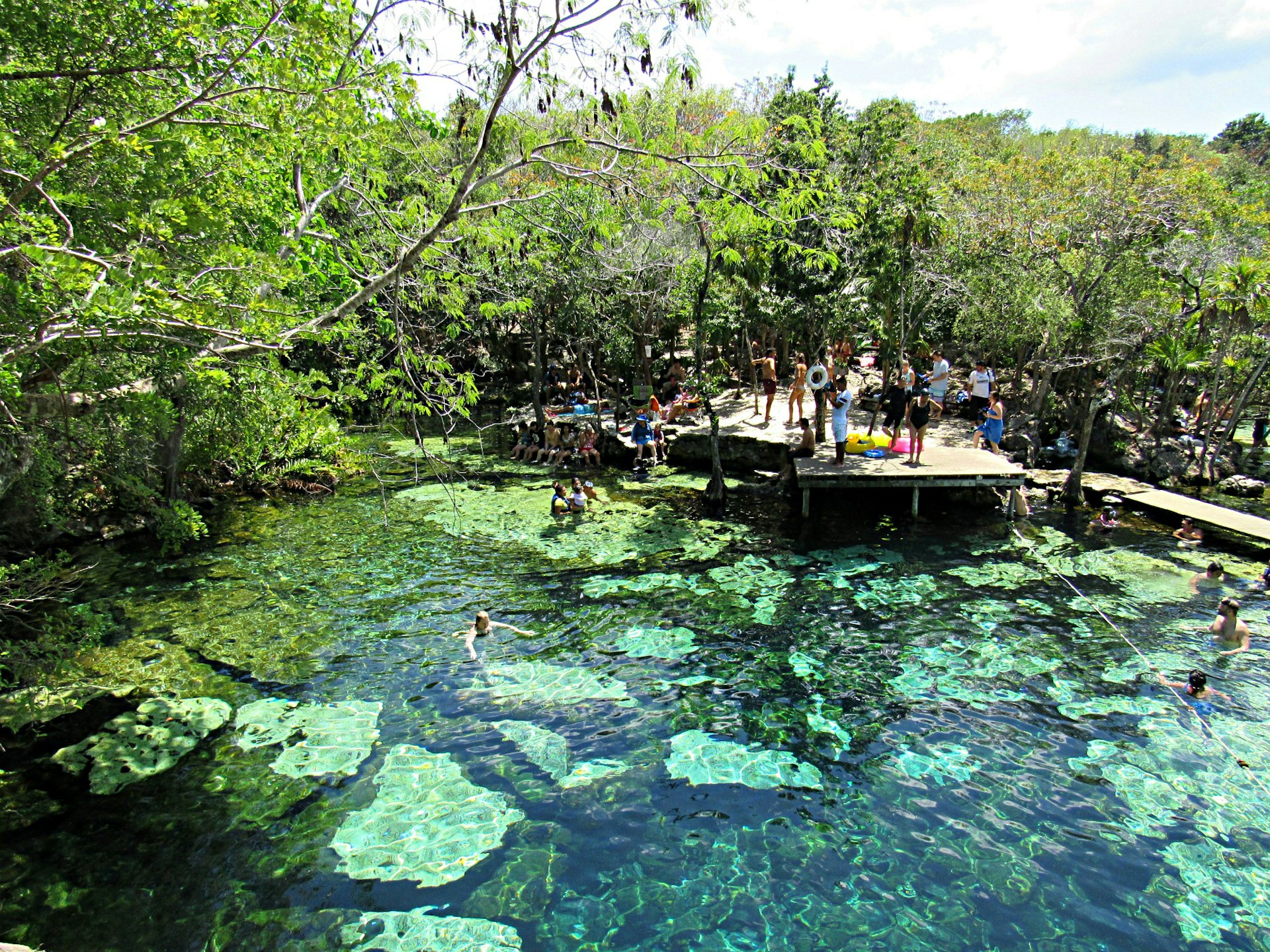 Features - Cenote-Azul-4-573a40aabccf