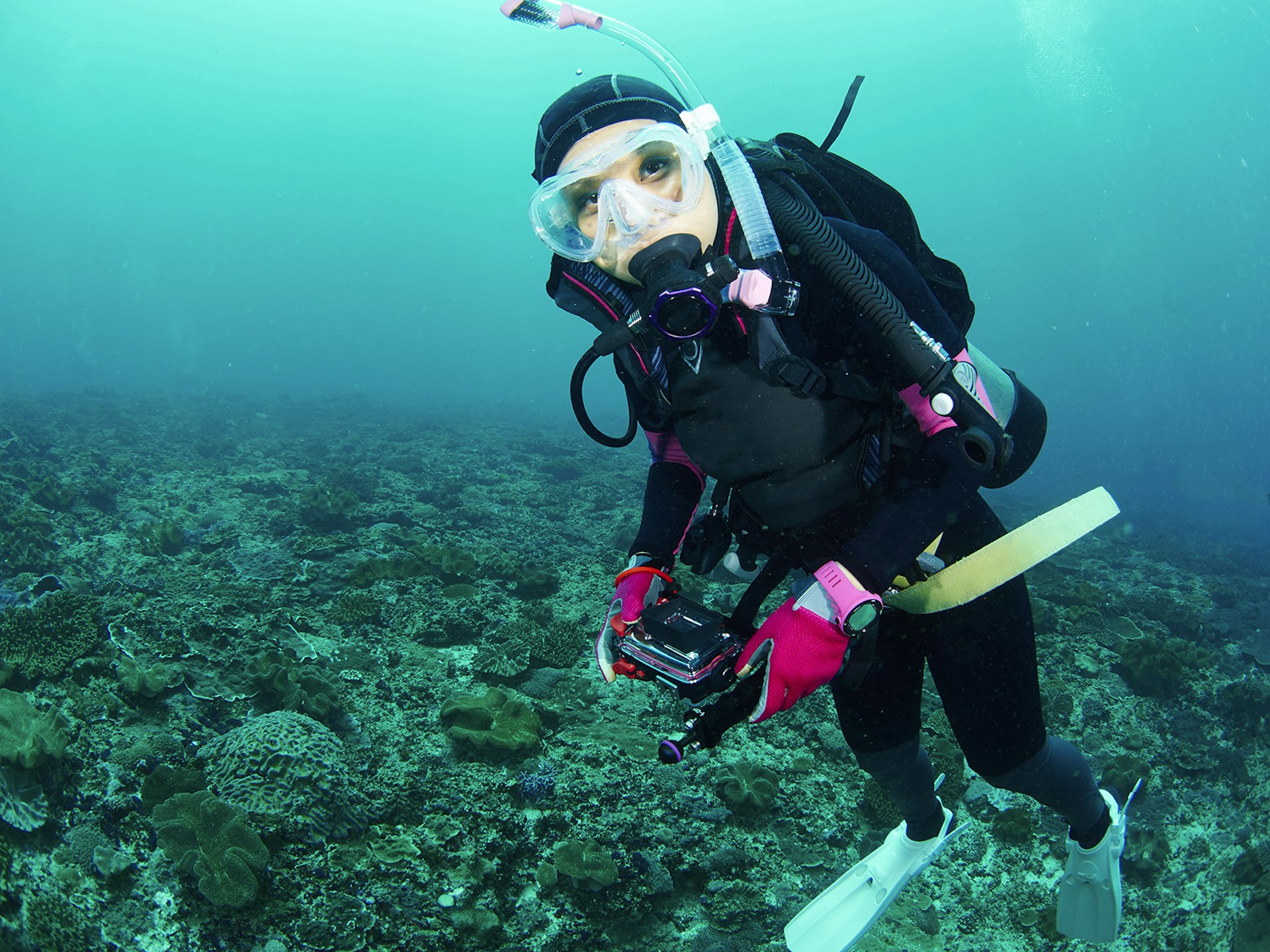 Features - scuba diver with coral