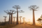 cost to travel to madagascar