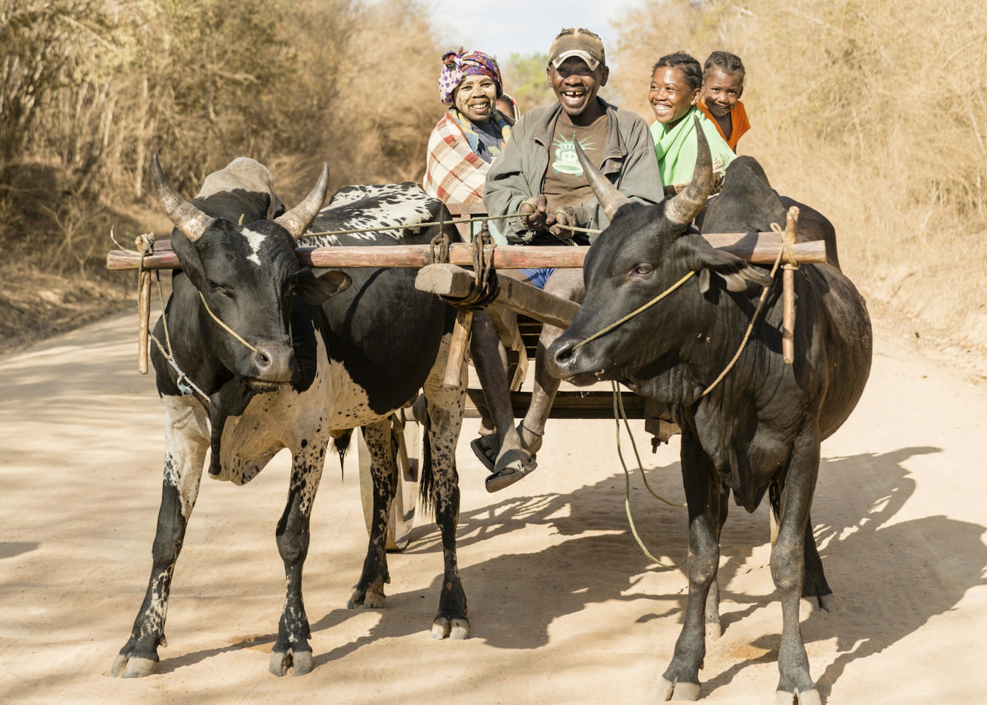 A family on the zebu cart, one of the most reliable means of Madagascan transport © Justin Foulkes / Lonely Planet