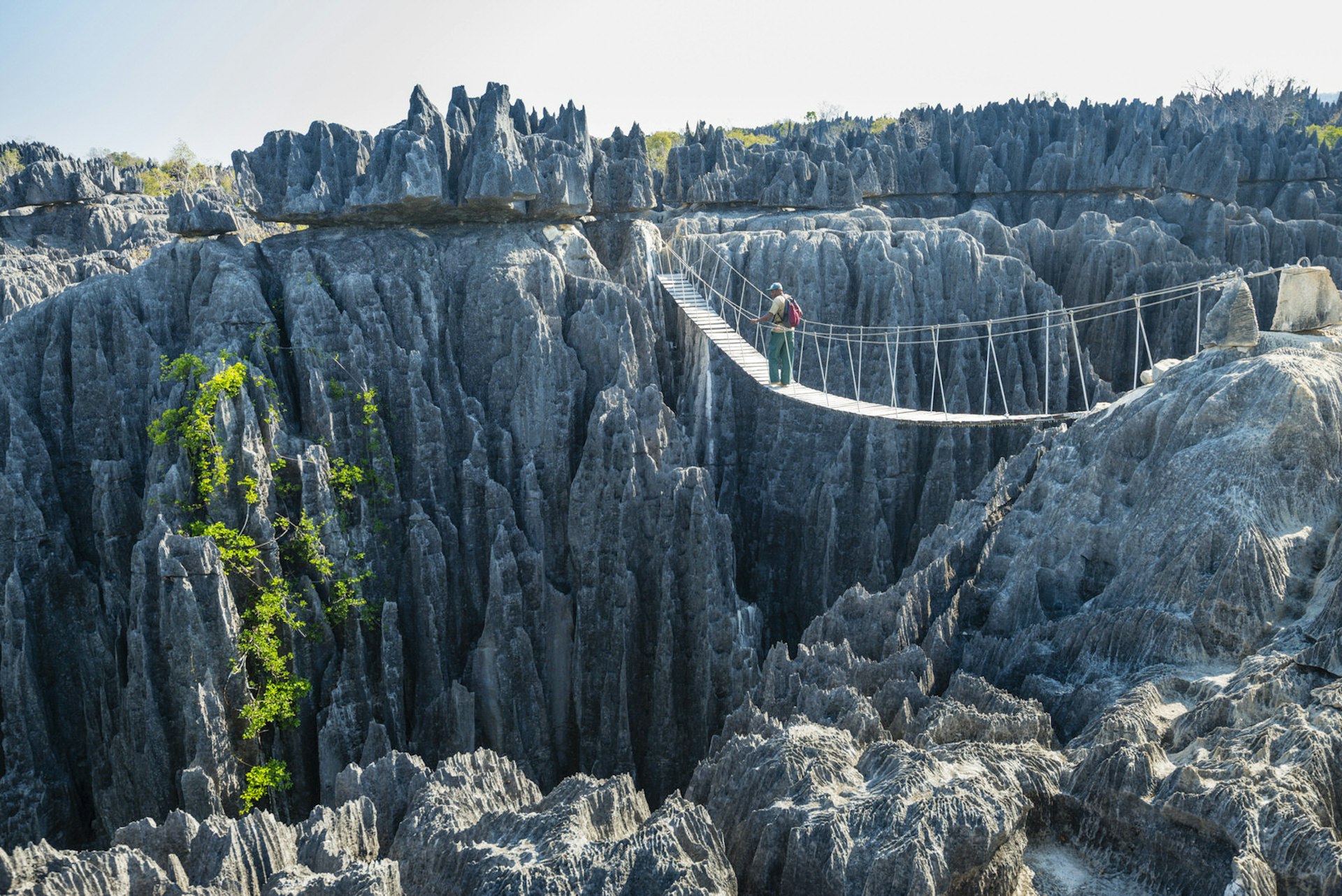 A rope bridge spanning a canyon in Unesco-listed Grand Tsingy, the world's biggest 'stone forest' © Justin Foulkes / Lonely Planet 