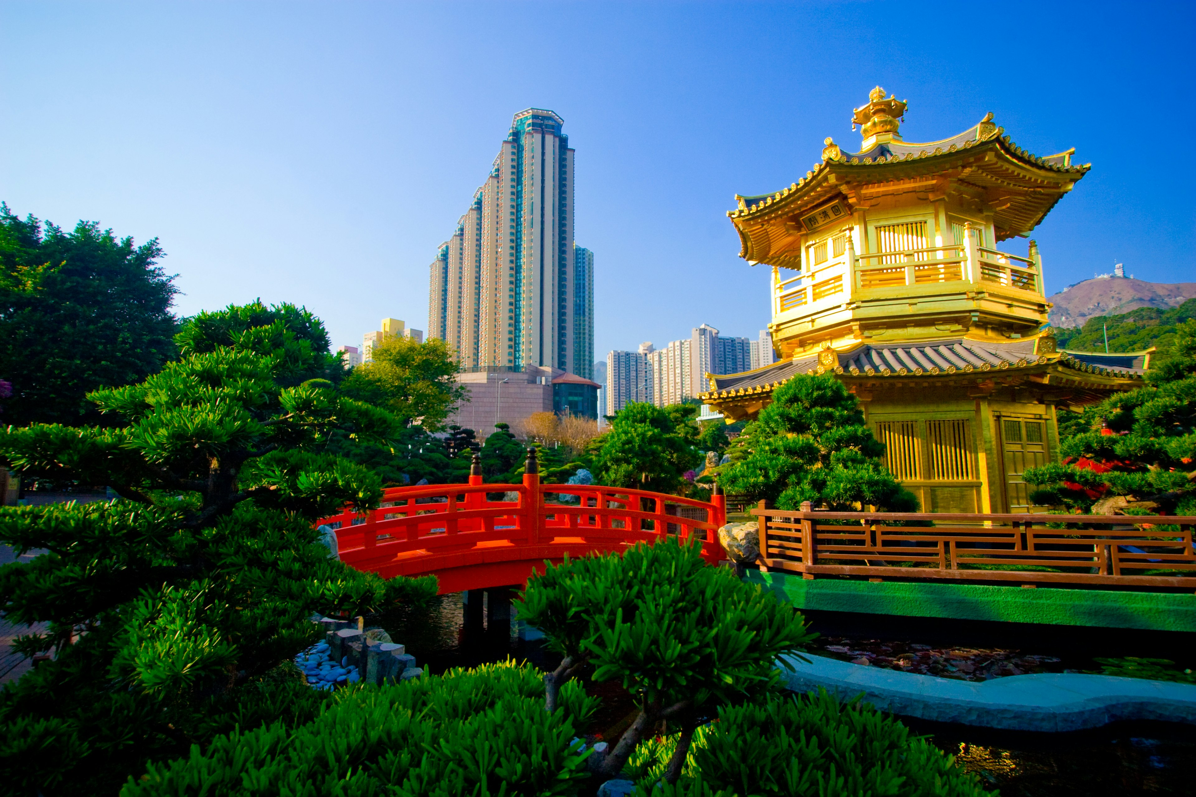 A skyscraper rises above the golden pagoda of Chi Lin Nunnery © Yupgi / Shutterstock