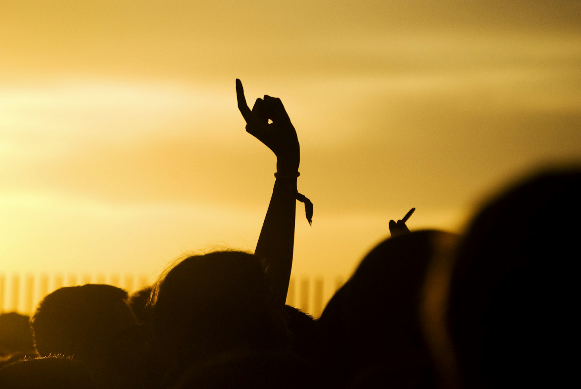 Features - Arms raised people in Music festival
