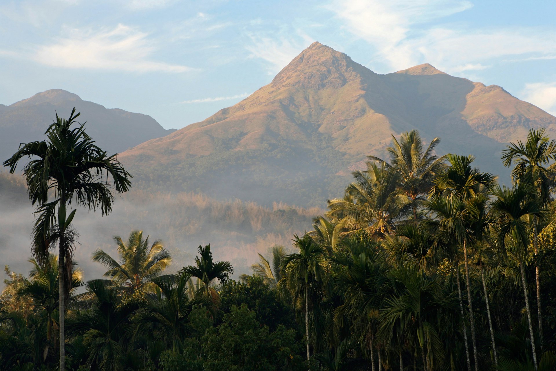 Chembra Peak rising over the palms in Wayanad © Tim Draper / Getty Images