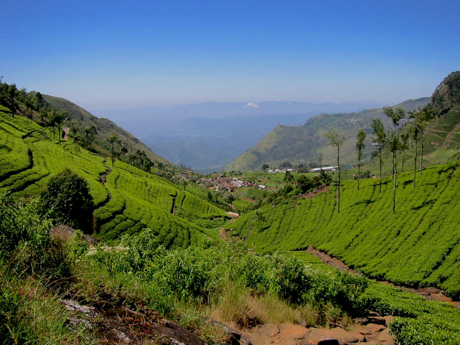 Sweeping views from the trail to Lipton's Seat © Ethan Gelber / Lonely Planet