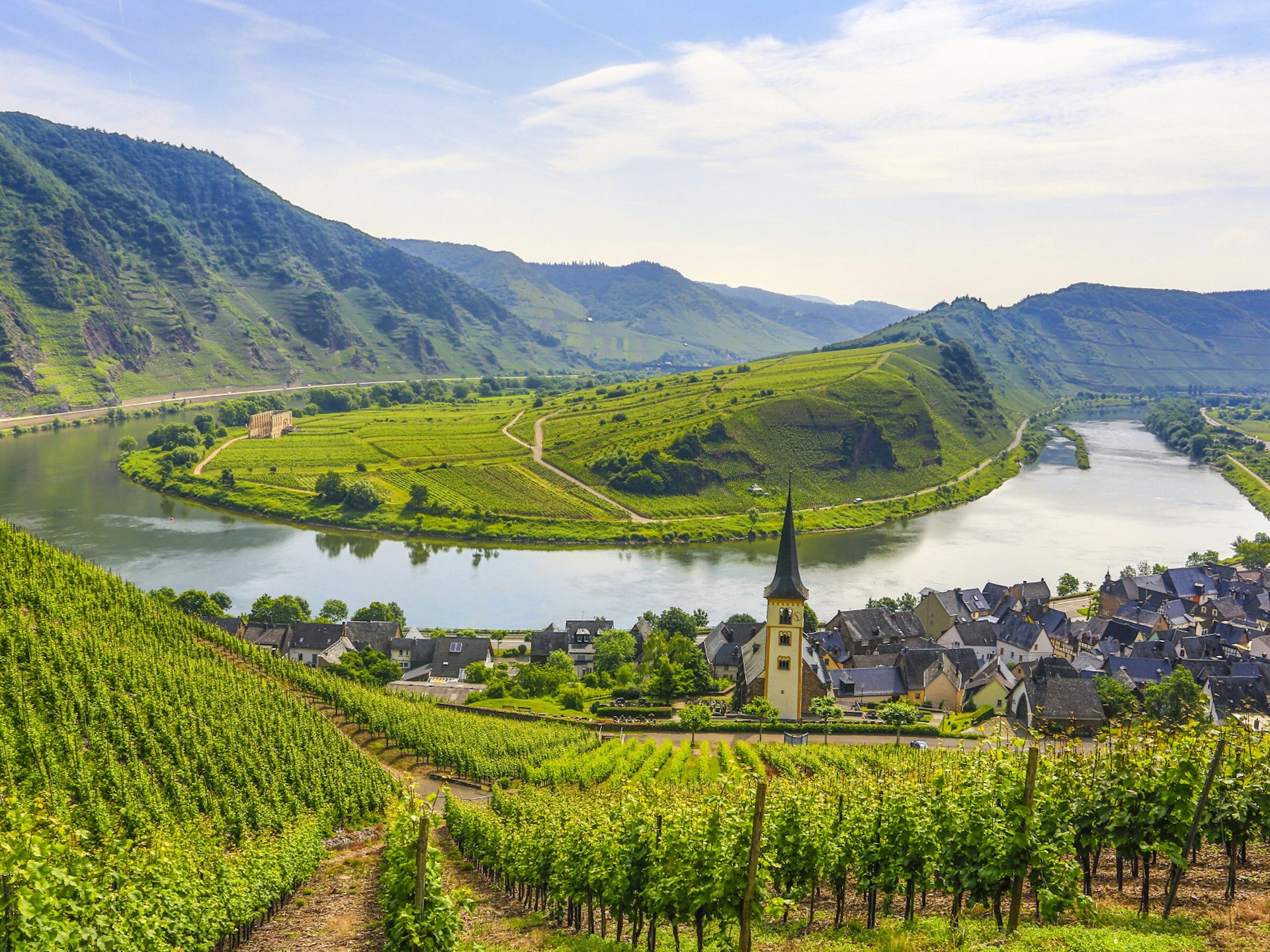Lush green vineyards surround a bend in the river; a village with a church sits at the edge of the river