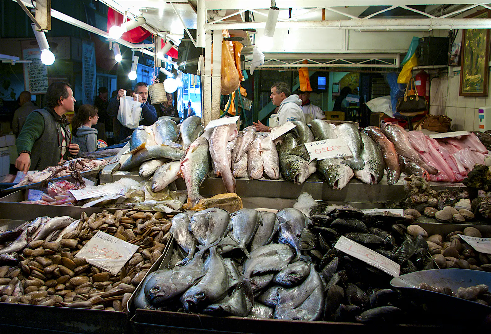 Features - Mercado Central fish market, Santiago A seafood stall in Santiago's central market piled high with large fish and mollusks. Chile.