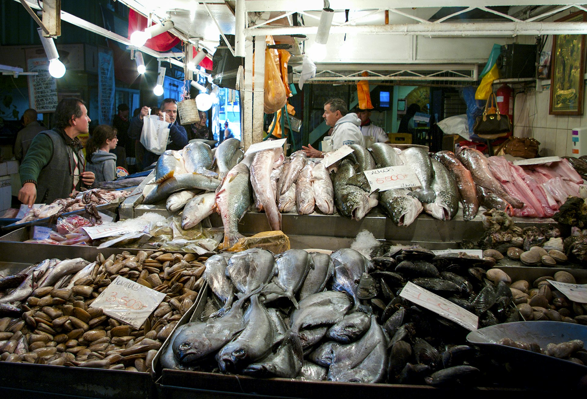 A seafood stall in Santiago's central market piled high with large fish and mollusks. Chile.