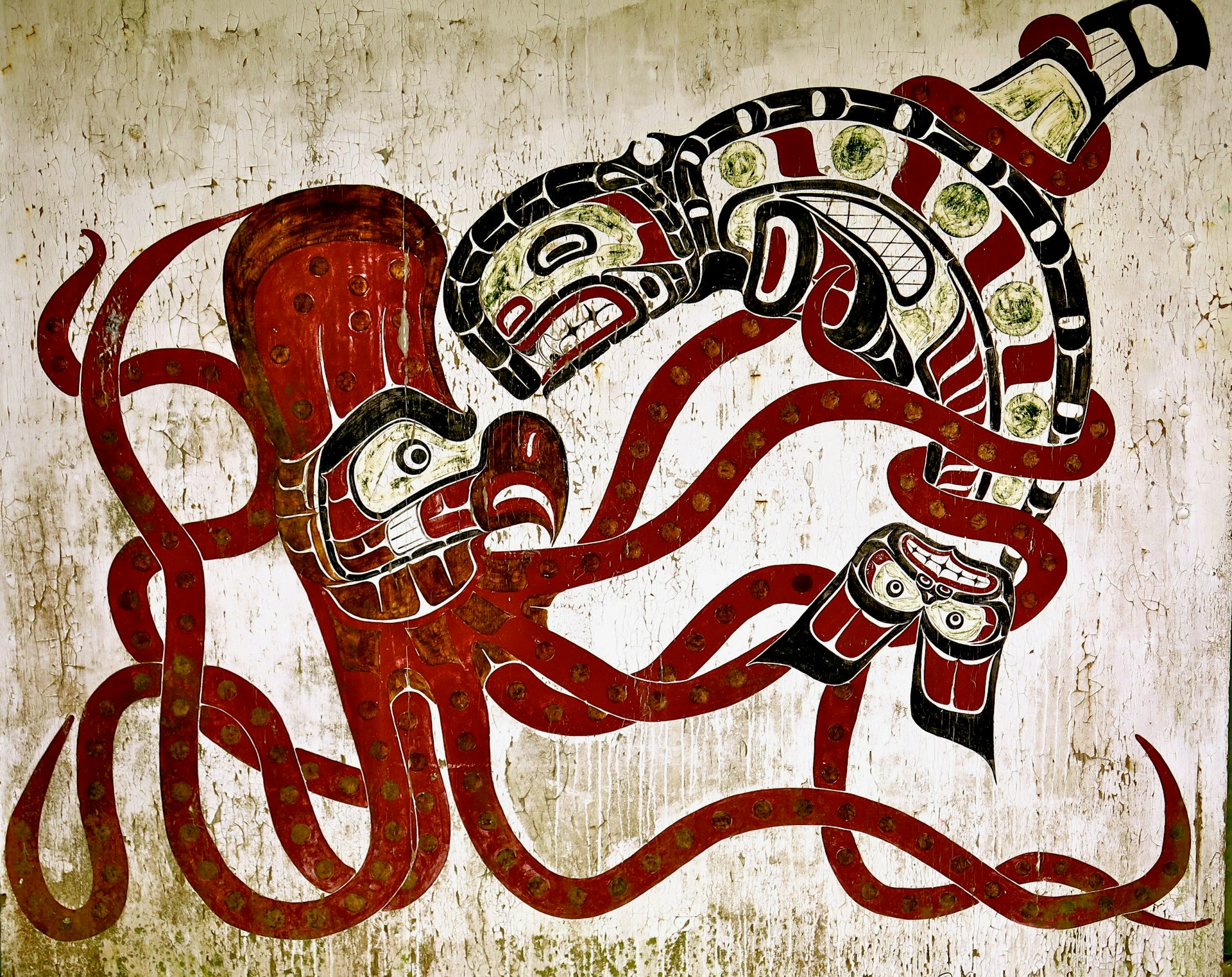 A mural on a wall in Alert Bay depicting an octopus and orca in battle