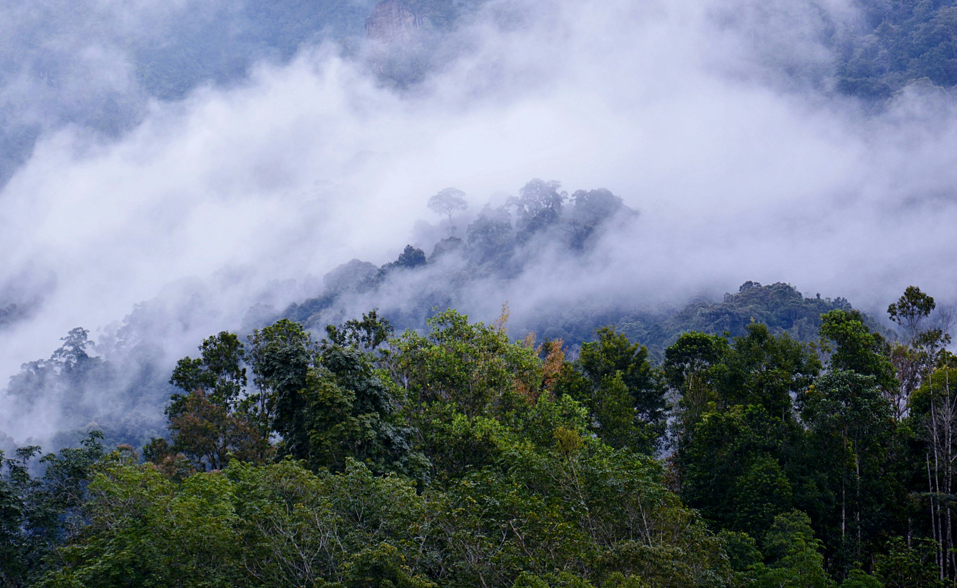 Mt-Kinabalu