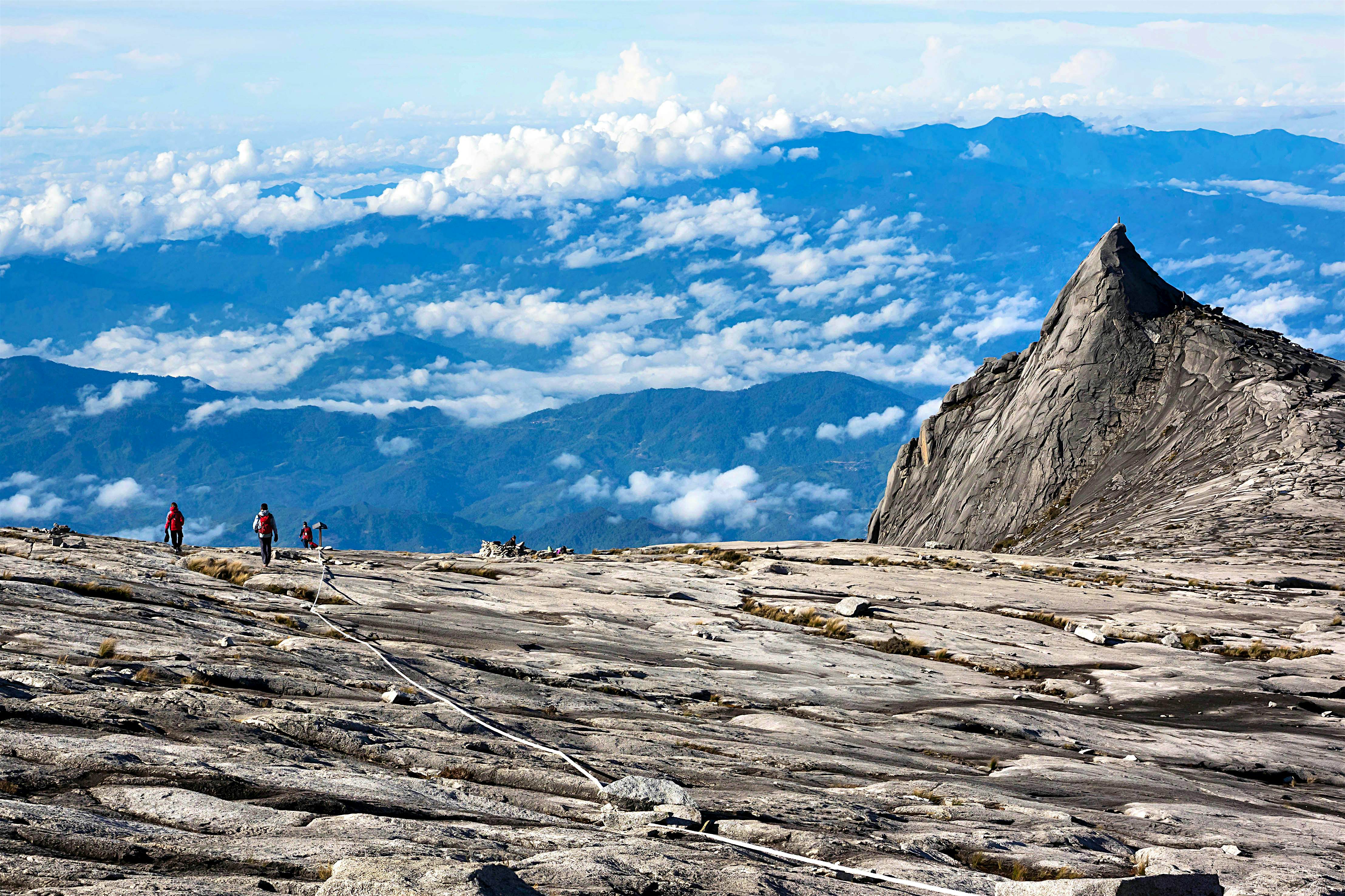Climbing Mt Kinabalu, Borneo’s biological treasure trove - Lonely Planet