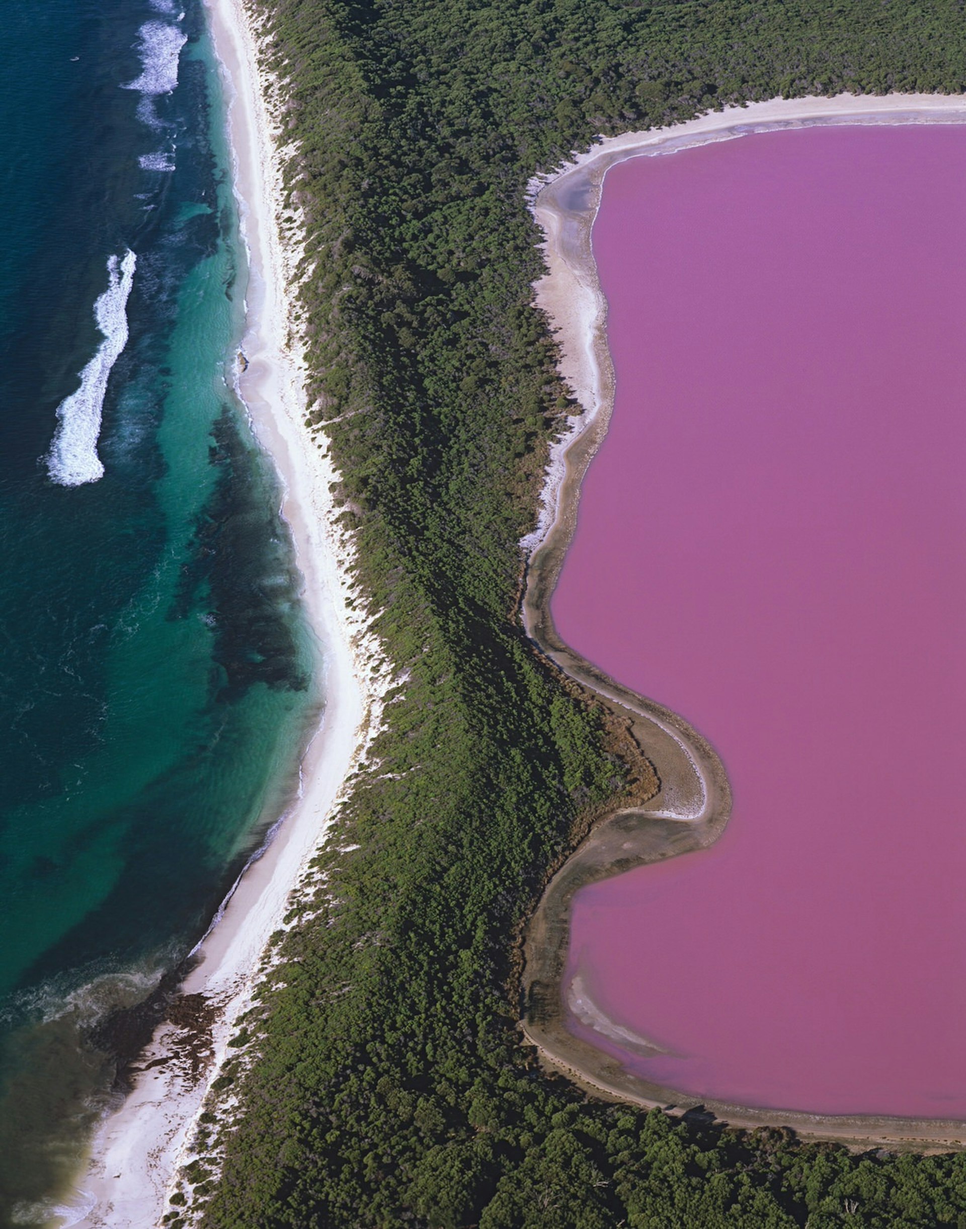 An aerial view of Lake Hillier, Western Australia © Auscape / Getty Images