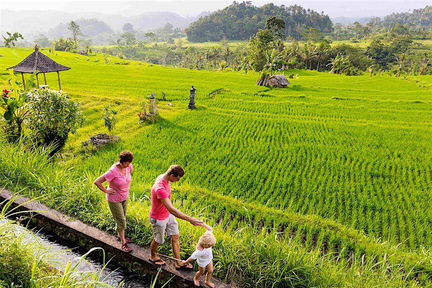 Bali with children: top 7 things to keep the kids happy - Lonely Planet