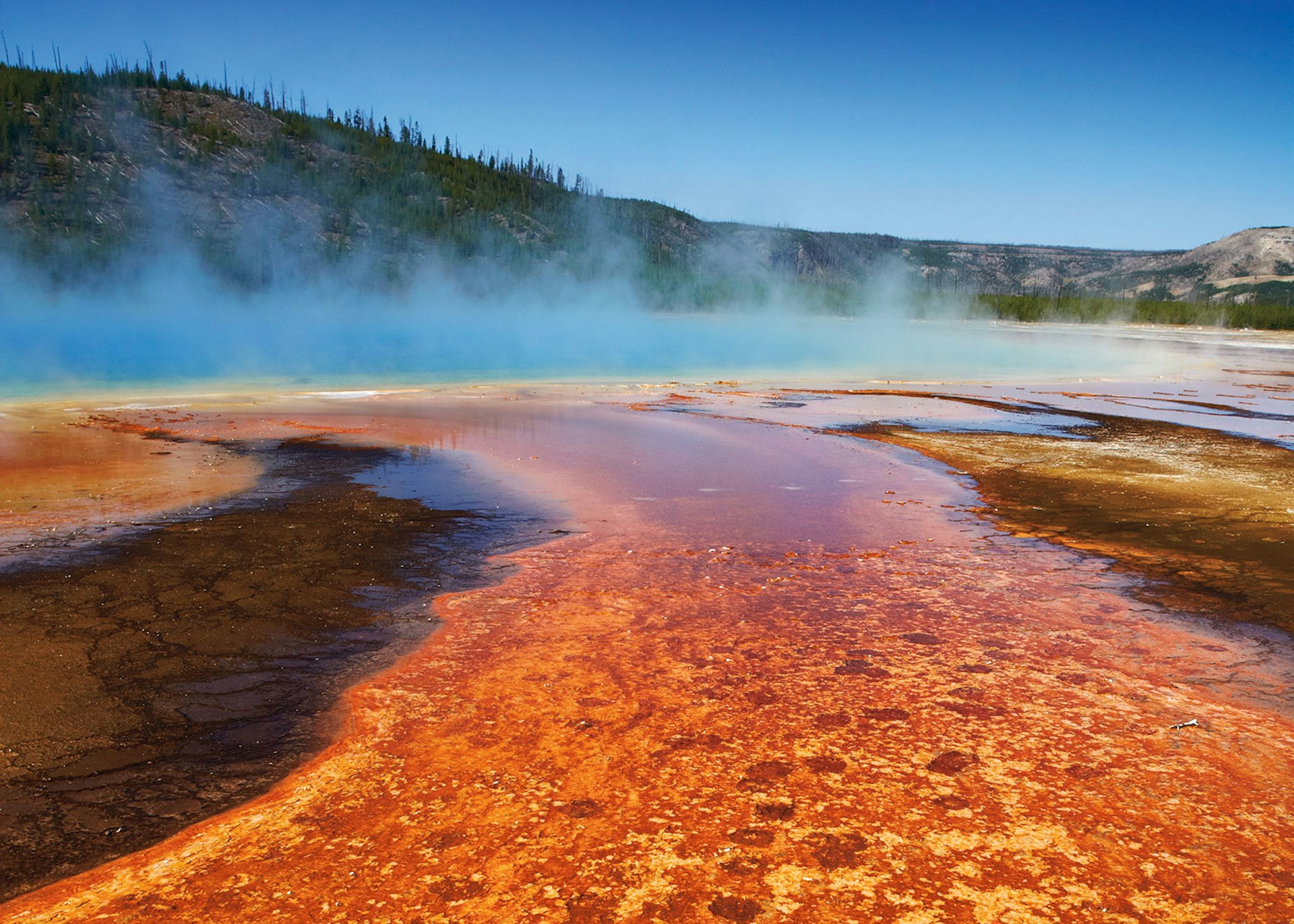 A view of Grand Prismatic Spring, the largest hot spring in Yellowstone National Park © Matt Munro / Lonely Planet