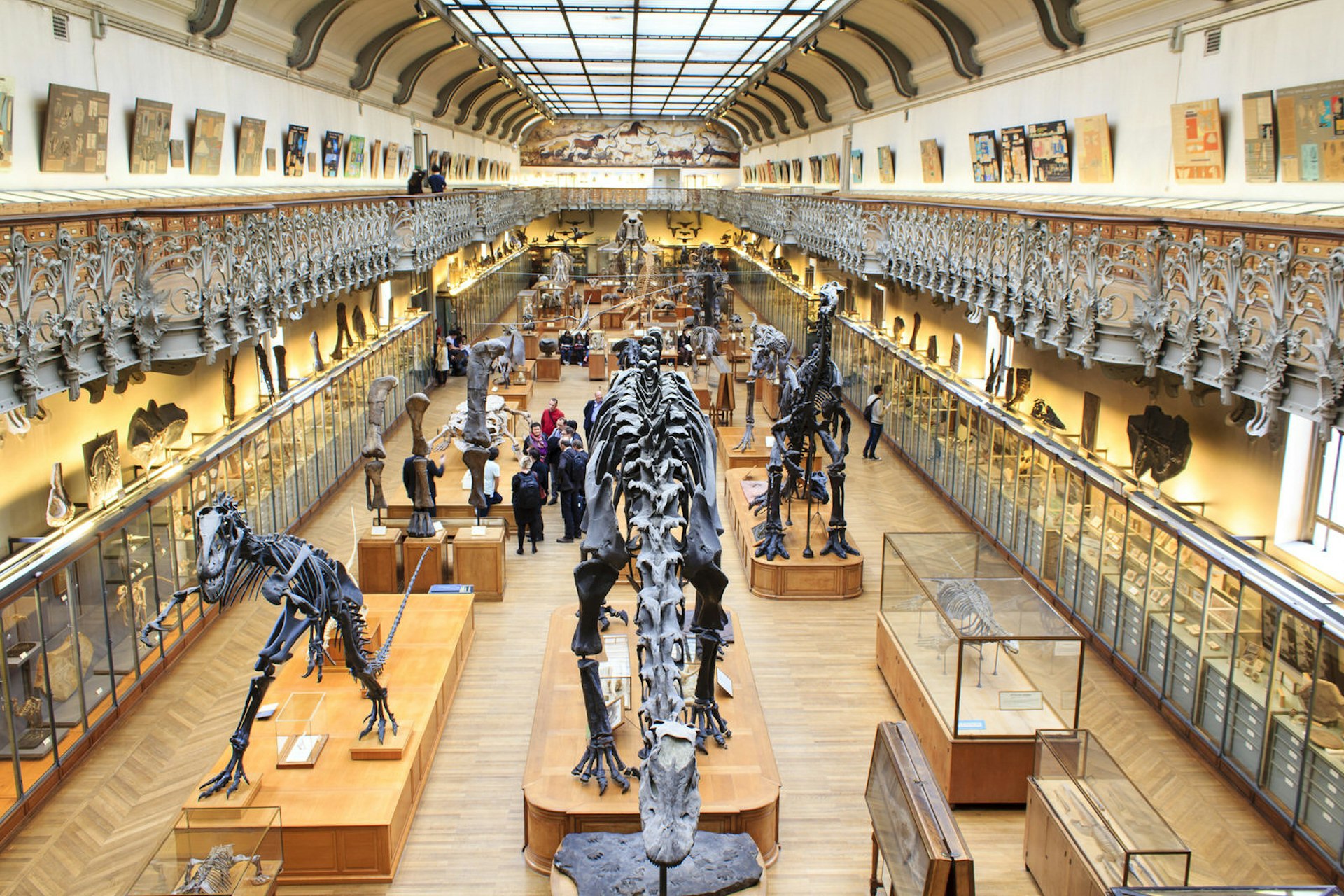 A long hall is filled with dinosaur skeletons with cabinets hiding other treasures lining the walls