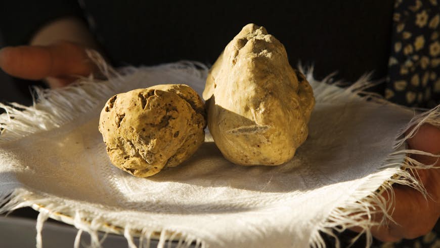 White truffles, which look like big clods of beige dirt, in Piedmont, Italy